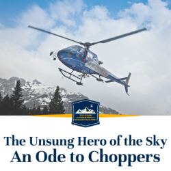 The Unsung Hero of the Sky An Ode to Choppers